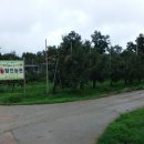 탐진농원 이미지