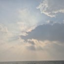 노을바다 이미지