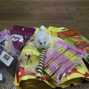 나는펫이다 이미지