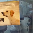 파파동물병원 이미지