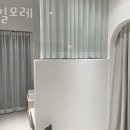 네일모레 이미지