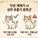 올스타동물의료센터 네이버블로그