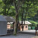 소백산국립공원 남천야영장 | 소백산 국립공원 남천 야영장 솔막 후기
