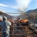 김동현농장 이미지