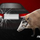 서대구주유소 이미지