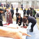 운교2리 이미지