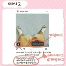 똥꼬발랄 이미지