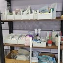 댕댕월드&퍼피 이미지