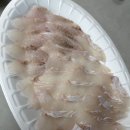 대왕카센타 | 11월 넷째주 주간일기 - 프로포즈 받았습니당!! -