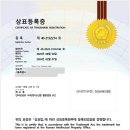G5206 티스토리