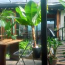 부원한식보리밥뷔페 이미지