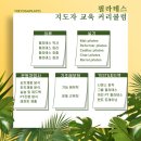 CL요가