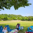 임권택시네마테크 화장실 이미지