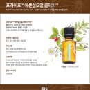 라이프에센셜 이미지