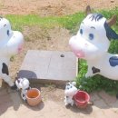 인지 태권도 이미지