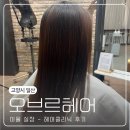 일산 정발산 웨스턴돔 24시 미용실 오브르헤어 헤어클리닉 이율 실장님 추천