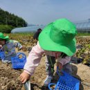 칠산마을회관 이미지