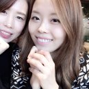 홈스테이드 이미지