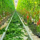 소암농장 이미지