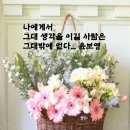 토비아 이미지