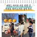 안덕면 상창리사무소 입구 | 제주도 아이와 가볼 만한 곳 서귀포 파더스가든 아쉬웠던 솔직 후기