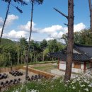 석문국가시도 이팝나무 | 속리산 숲체험마을 완벽 가이드｜예약·숙소·가격·수영장·식사 총정리