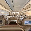 726 | 태국 푸켓 여행 | 인천-푸켓 아시아나 OZ725 OZ726 좌석 및 기내식 탑승 후기