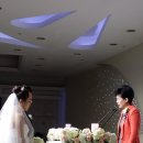 엔젤165