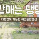 콩밭매는 강아지 이미지