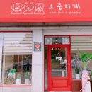 소중하개 이미지