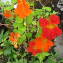 예쁘지유 이미지