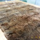 수선세탁 이미지