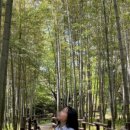 솜리갈비 이미지