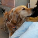 비자림빌리지2 이미지