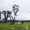 들녘목장 이미지