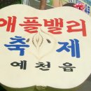 제9회 예천 우리 농산물 및 애플밸리 축제 홍보부스 1 이미지