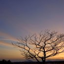 선양 목장 이미지