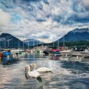 Lac Annecy Alps 이미지
