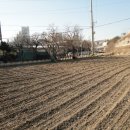 판암동148 이미지