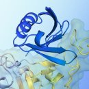 불로초등학교 이미지