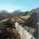 고추연구소농장 이미지