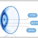 더글라스페이스샵 이미지