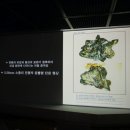다크투어리즘코스 네이버블로그