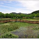 해여림식물원 이미지