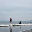 마백반분식 옆 | 울산여행 슬도 대왕암공원 코코넛커피 장생포 출출분식