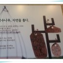 국수나무 굽은다리역 이미지