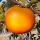 진홍산업 이미지