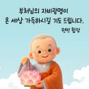 "너무 조급해 마십시오, 모든 업은 제시간에 당도합니다" 이미지