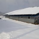 신활농장 이미지