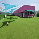 댕댕아리 이미지